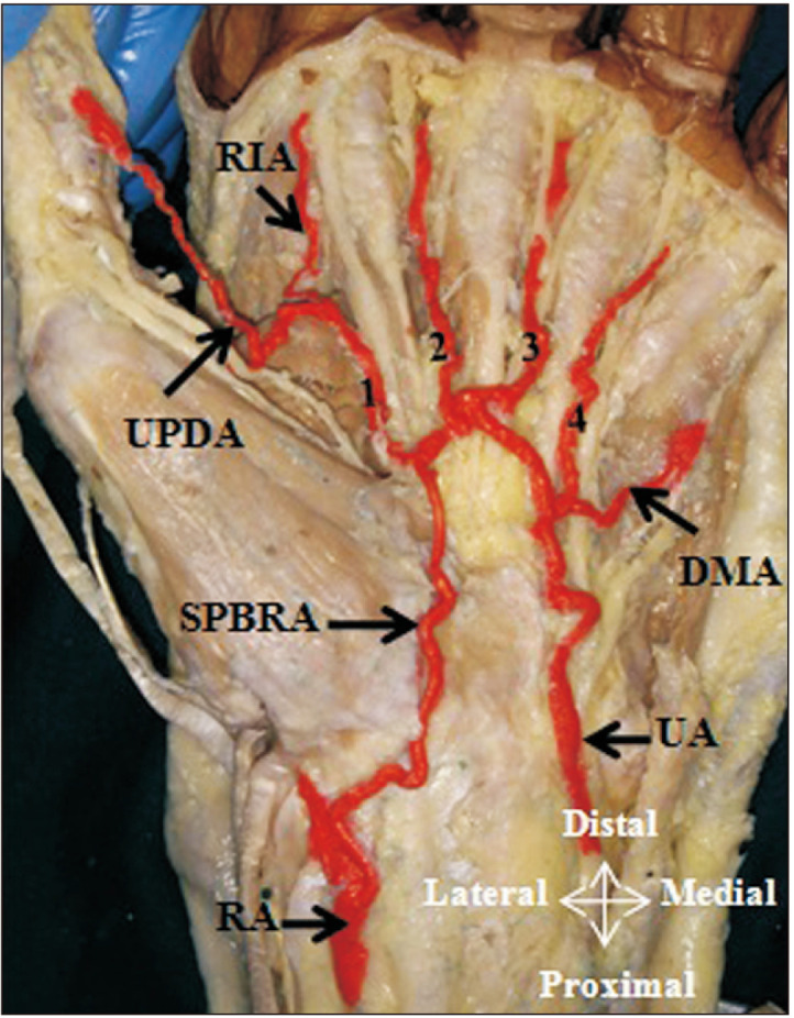 Fig. 10