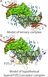 Fig. 9.