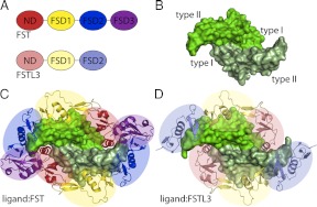 Fig. 1.