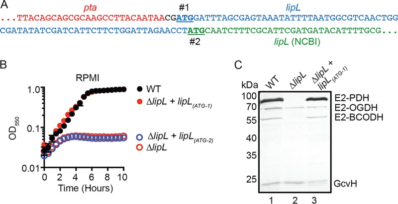 FIG 1