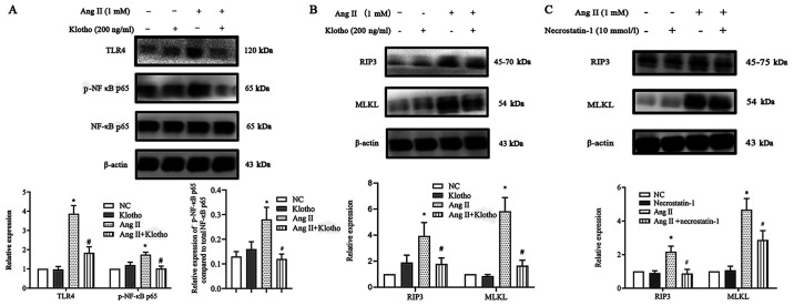 Figure 7.