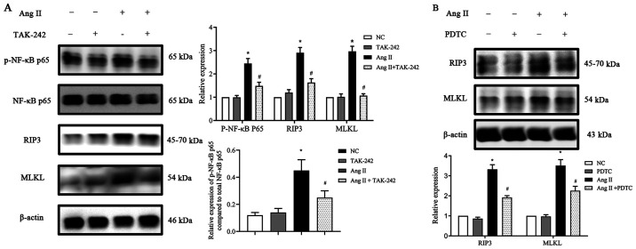 Figure 6.