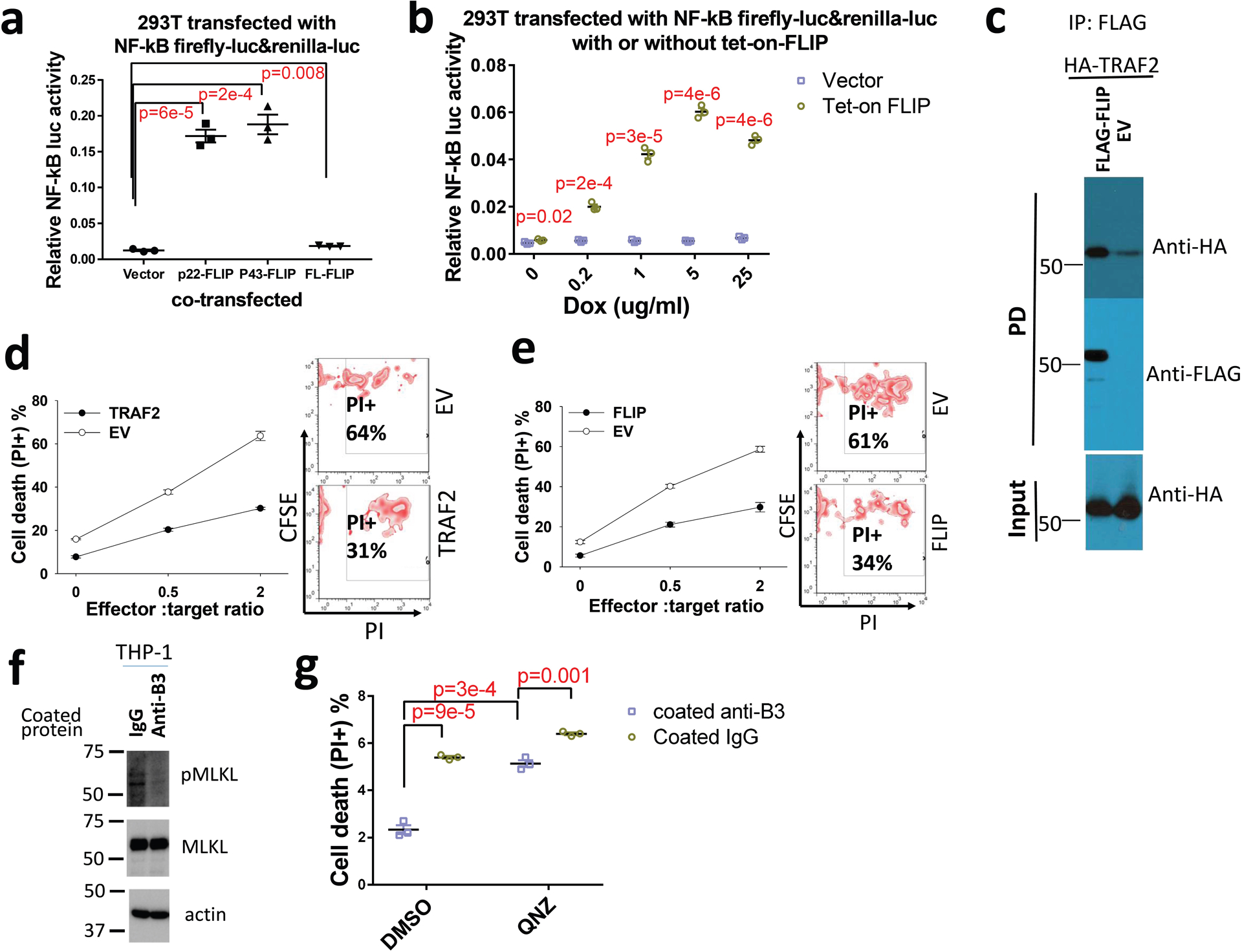 Extended Data Fig. 4 |