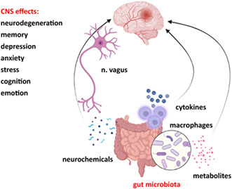 graphic file with name CNS-29-43-g001.jpg