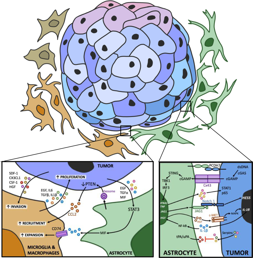 Figure 2: