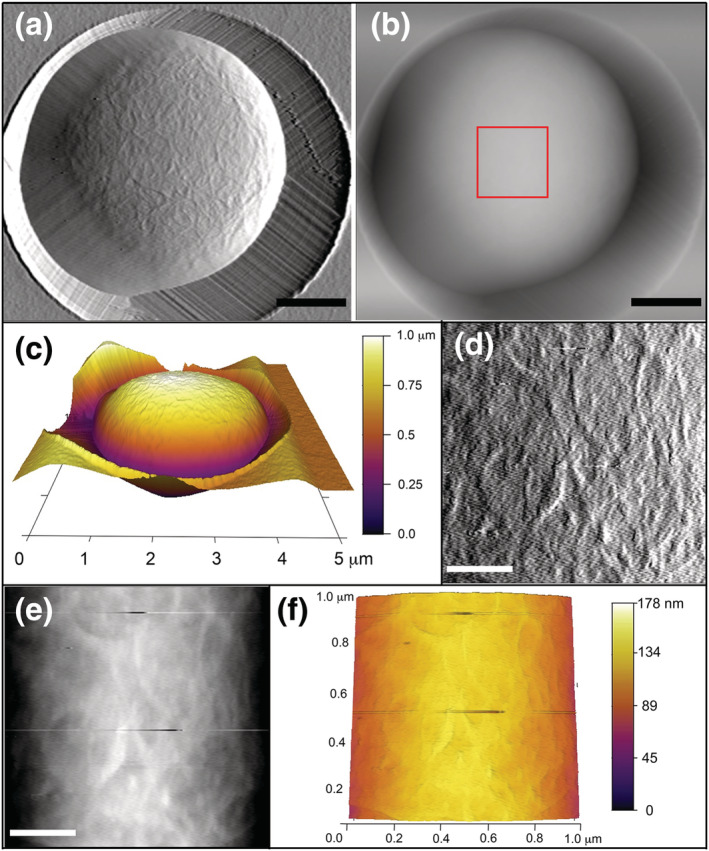FIGURE 4