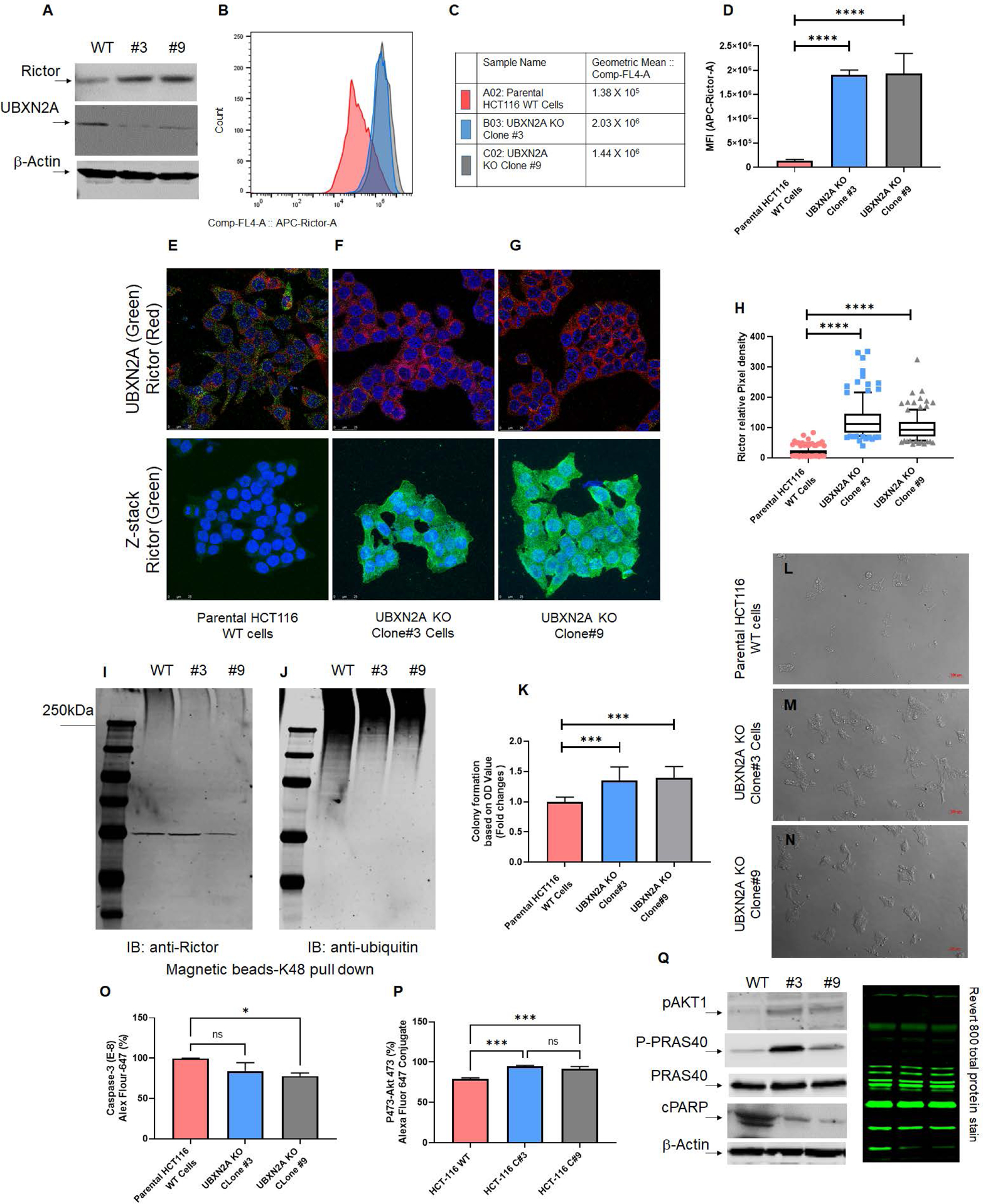 Fig. 4: