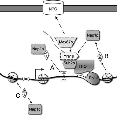 FIG. 7.