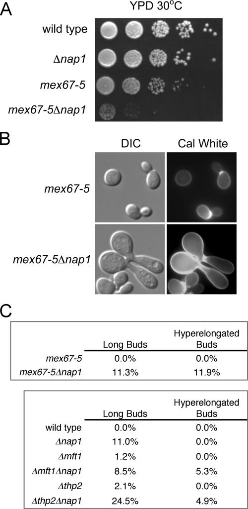 FIG. 3.