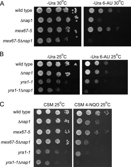 FIG. 4.