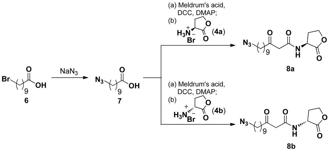 Scheme 2