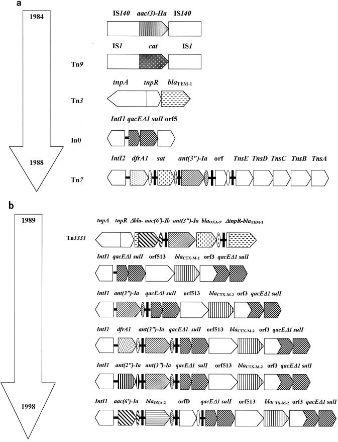 FIG. 1.