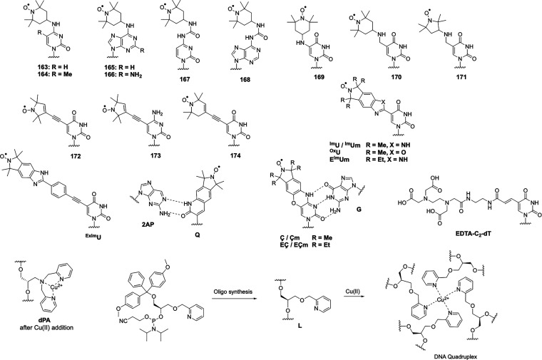 Figure 24