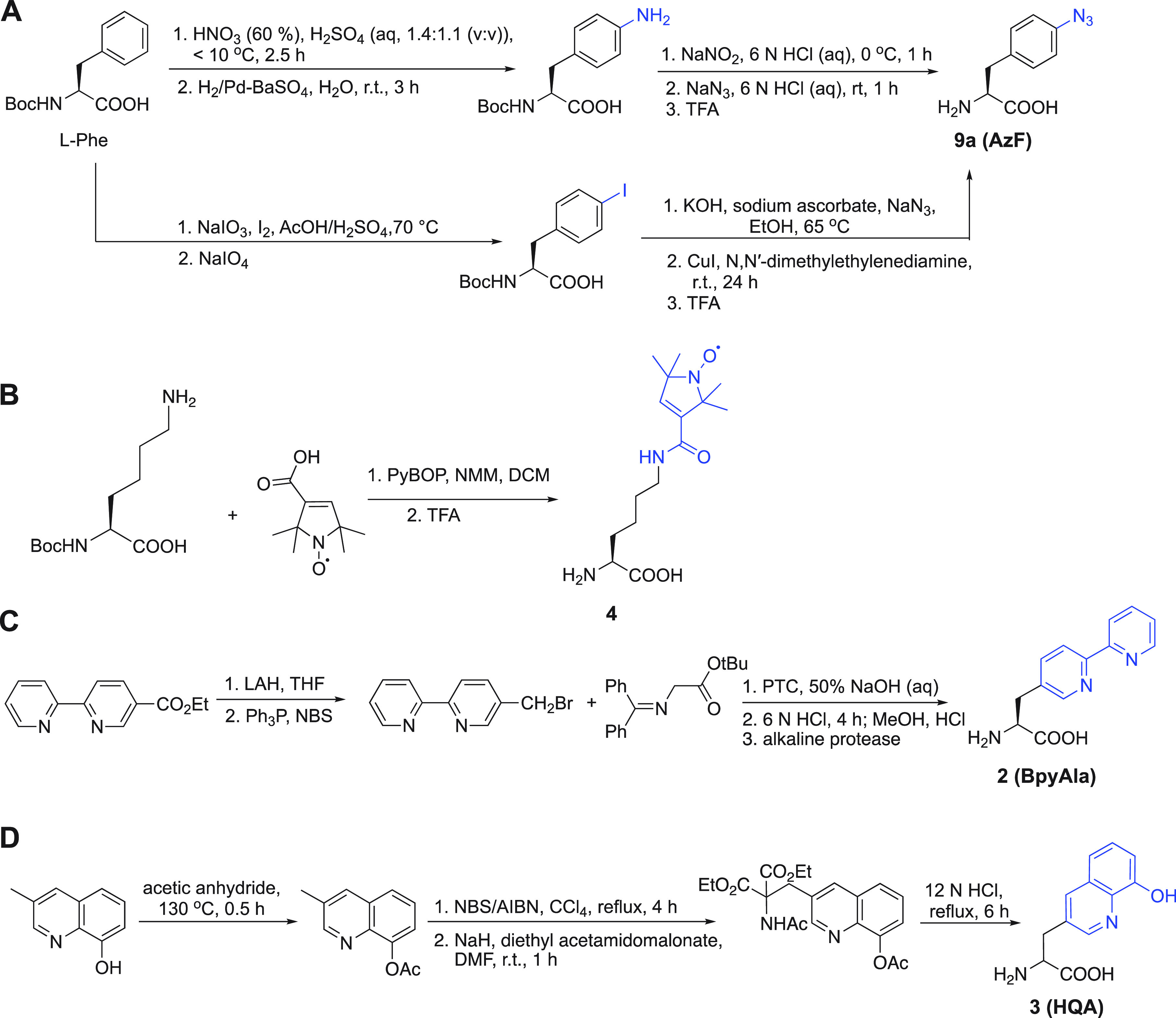 Scheme 2