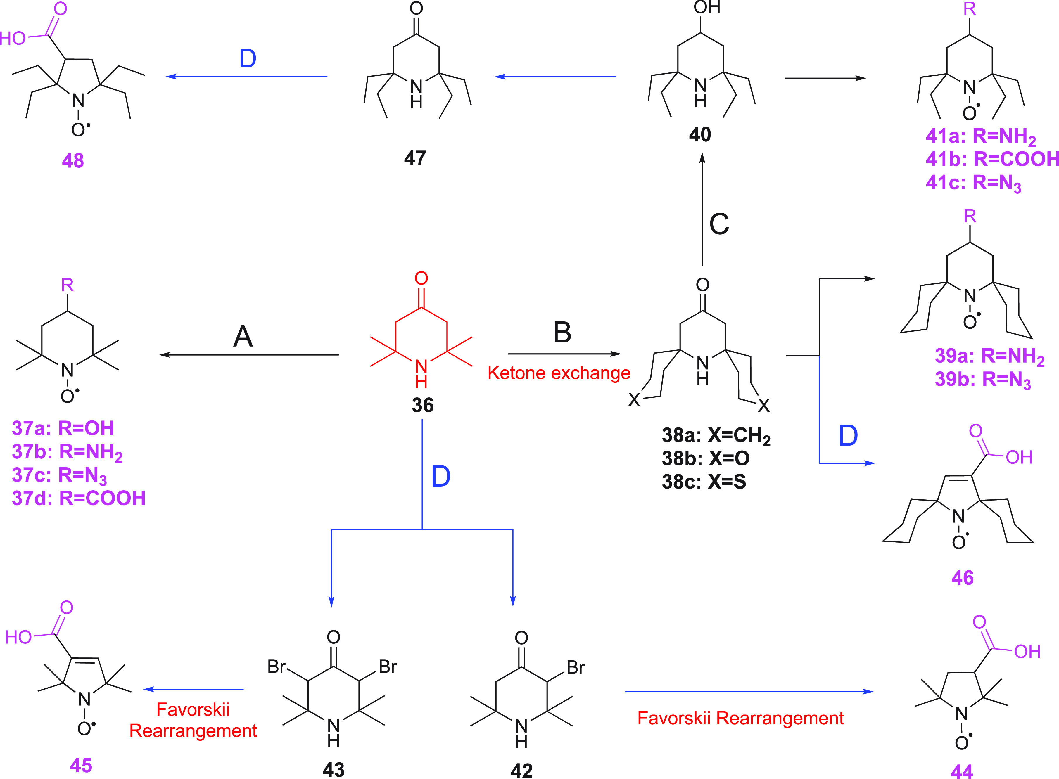 Scheme 4