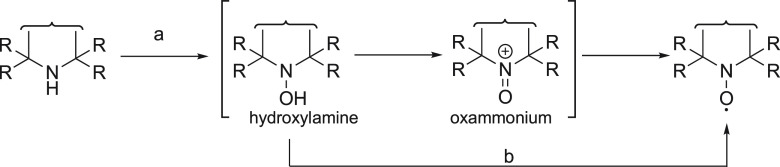 Scheme 3