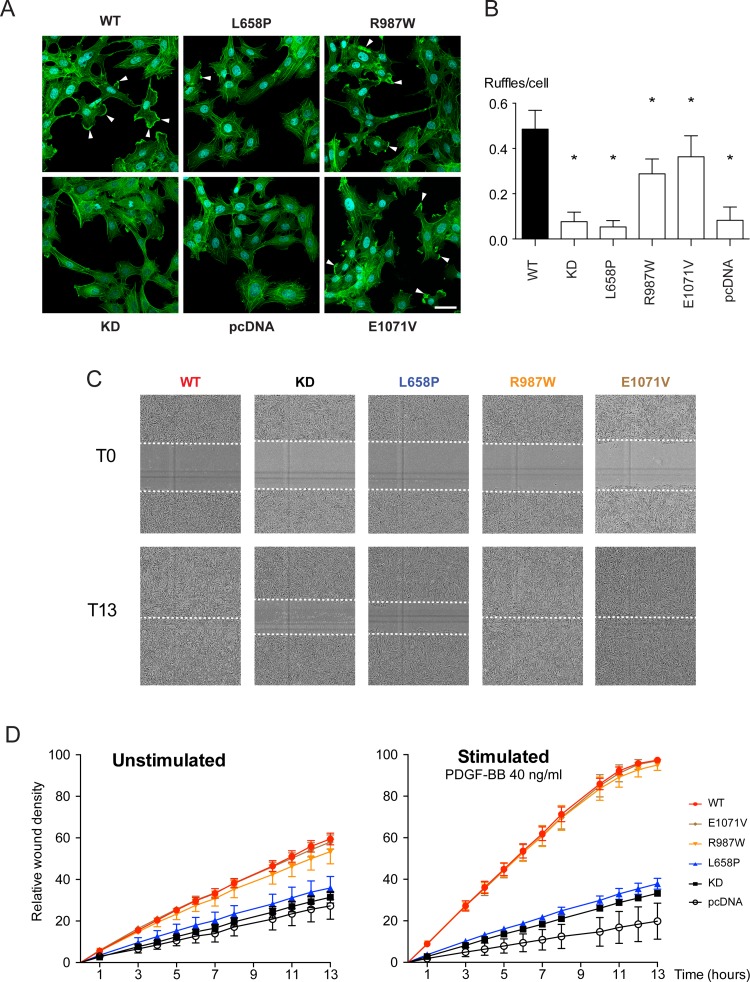 Fig 6