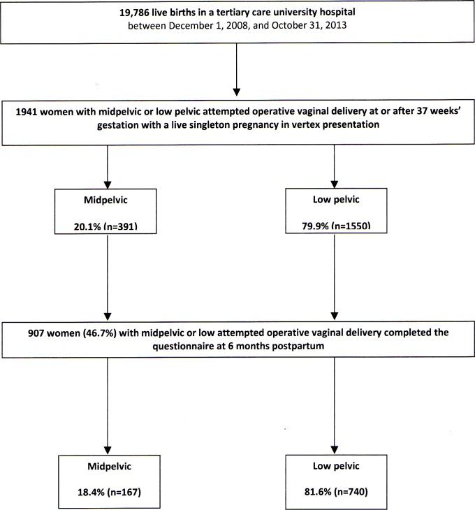 Fig 1