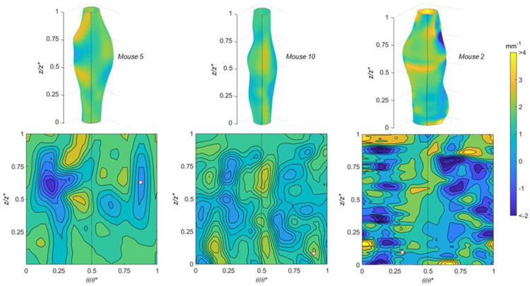 Figure 7.