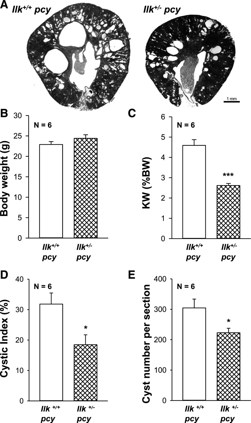 Figure 10.