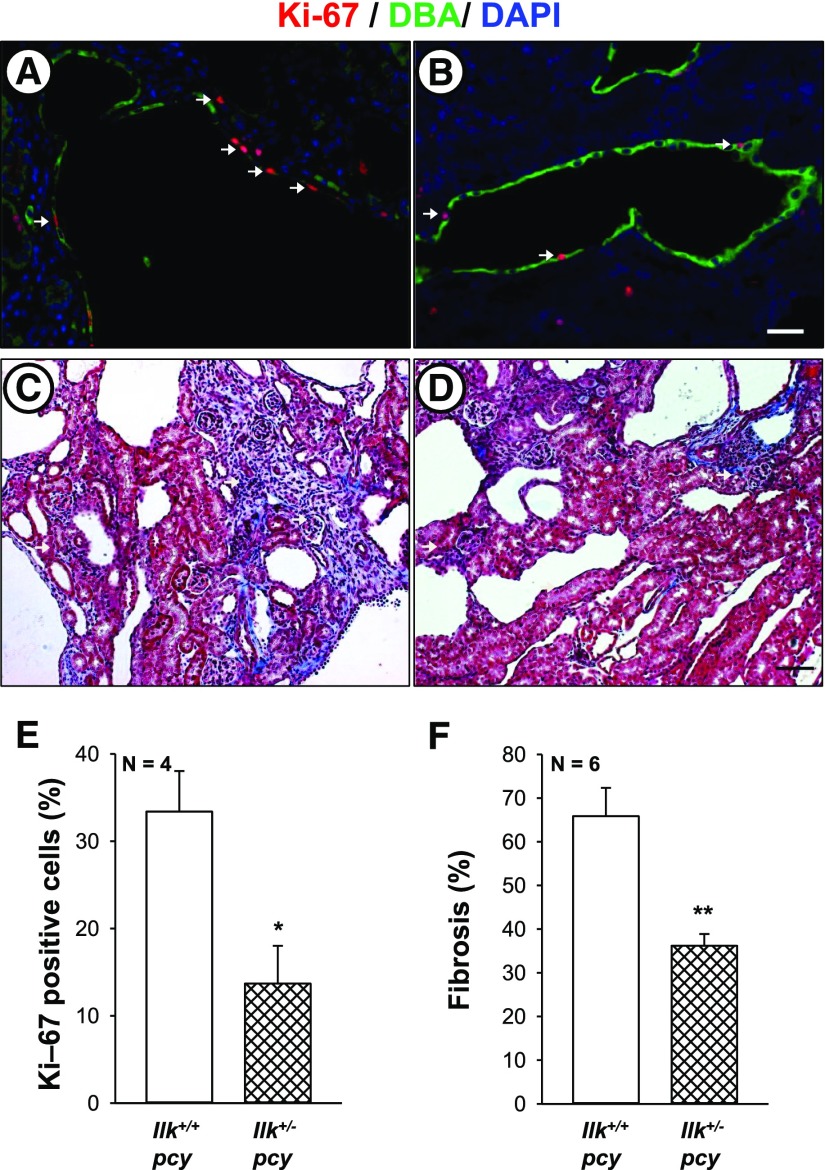 Figure 11.