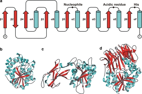 Fig. 3