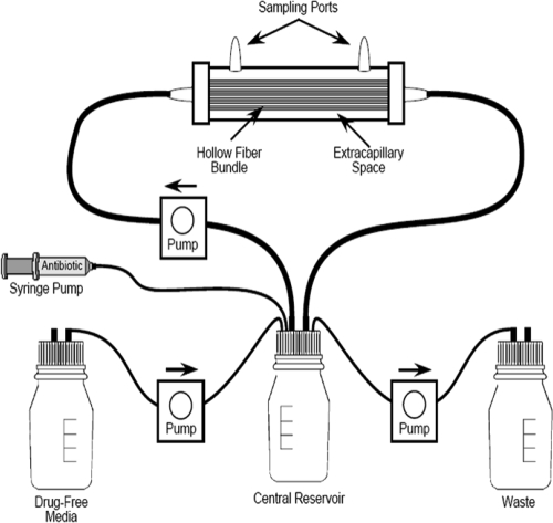 FIG. 1.