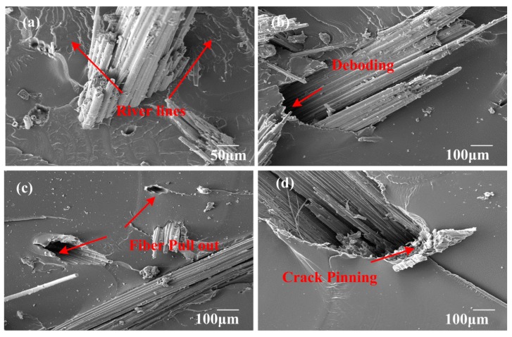 Figure 19