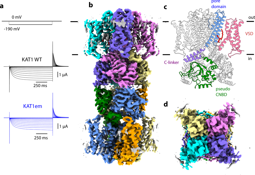 Figure 1: