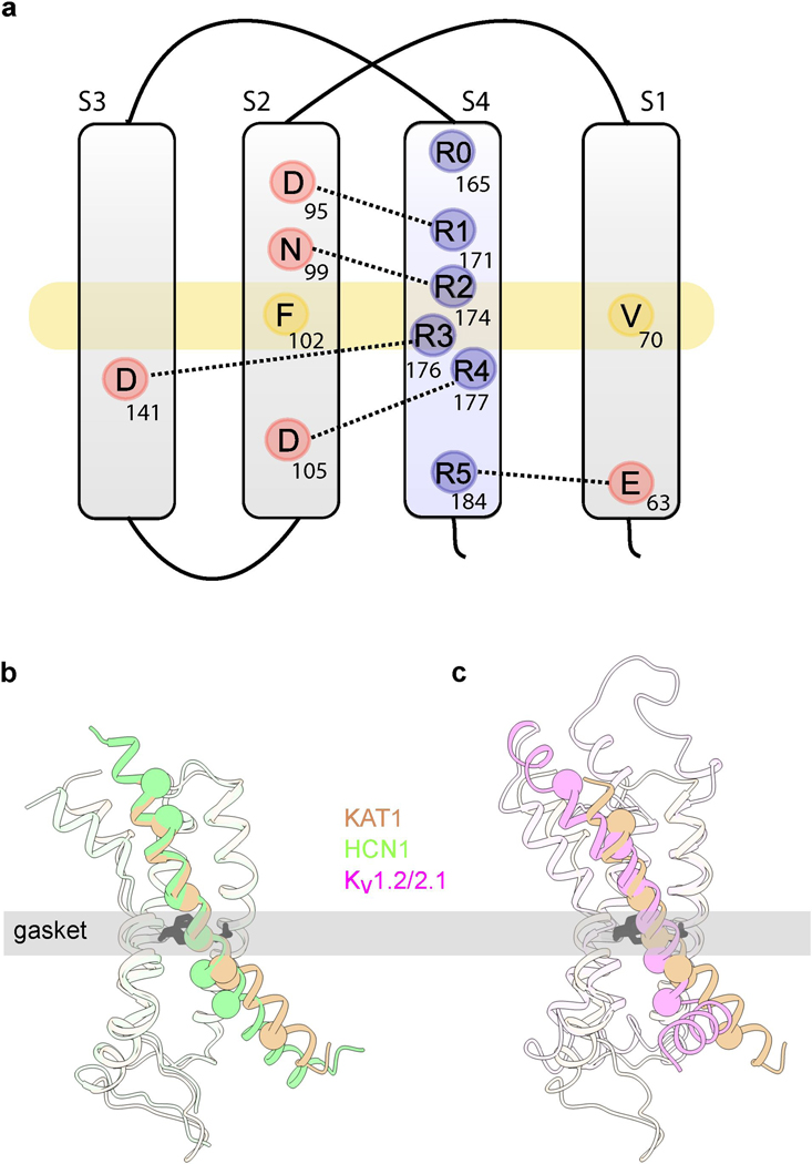 Extended Data Figure 5: