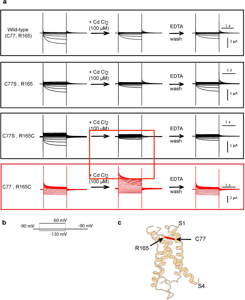 Extended Data Figure 9: