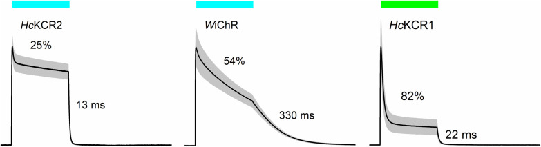 Figure 2 