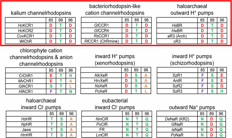 Figure 1 