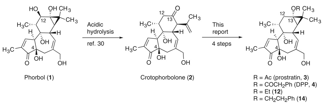 Scheme 1