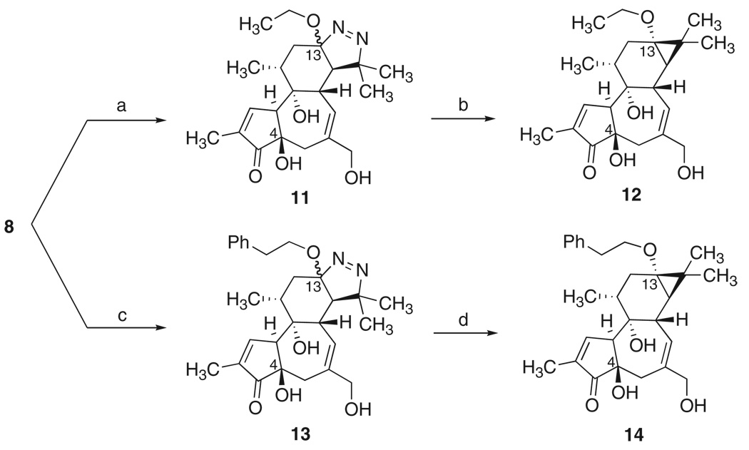 Scheme 4