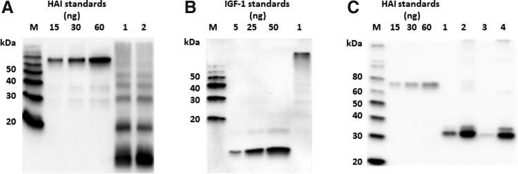 FIG. 3.