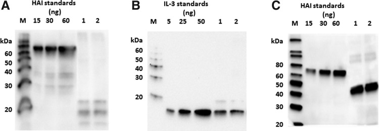 FIG. 4.