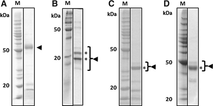 FIG. 6.