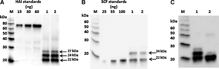 FIG. 5.