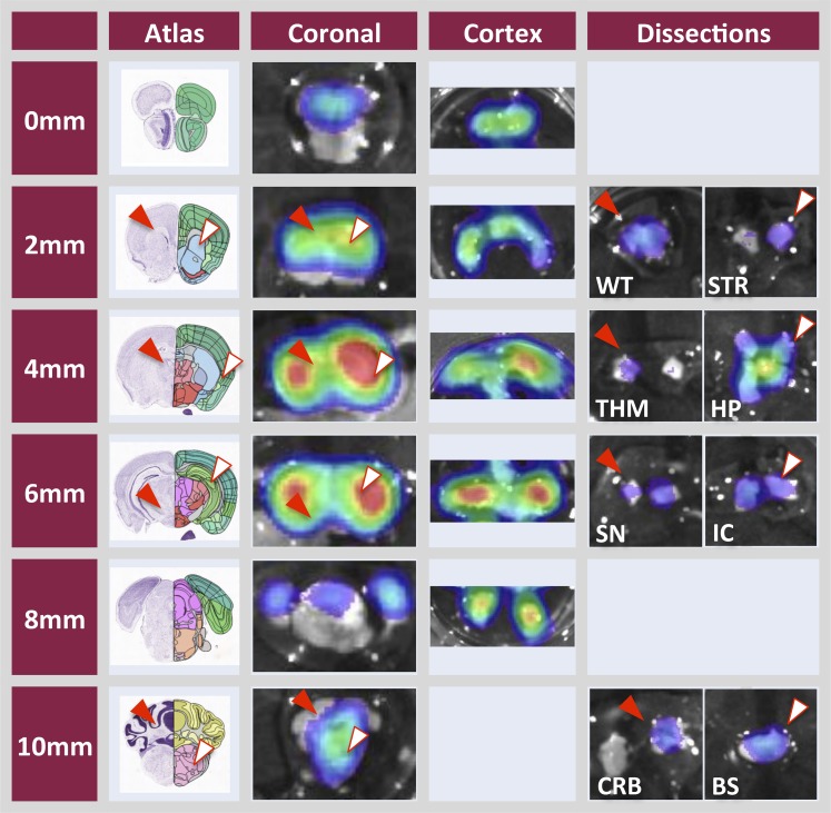 Fig. 6.