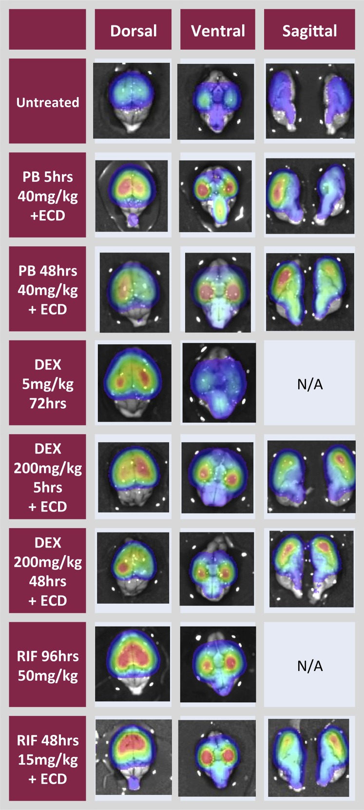 Fig. 4.