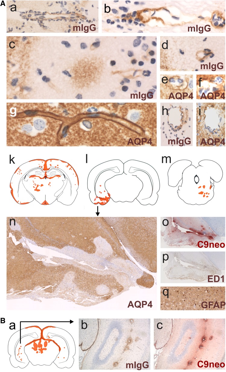 Fig. 6