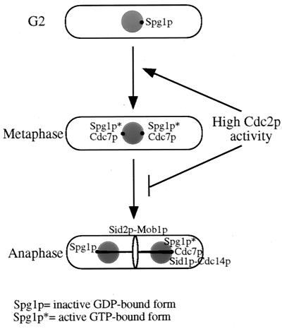 FIG. 10