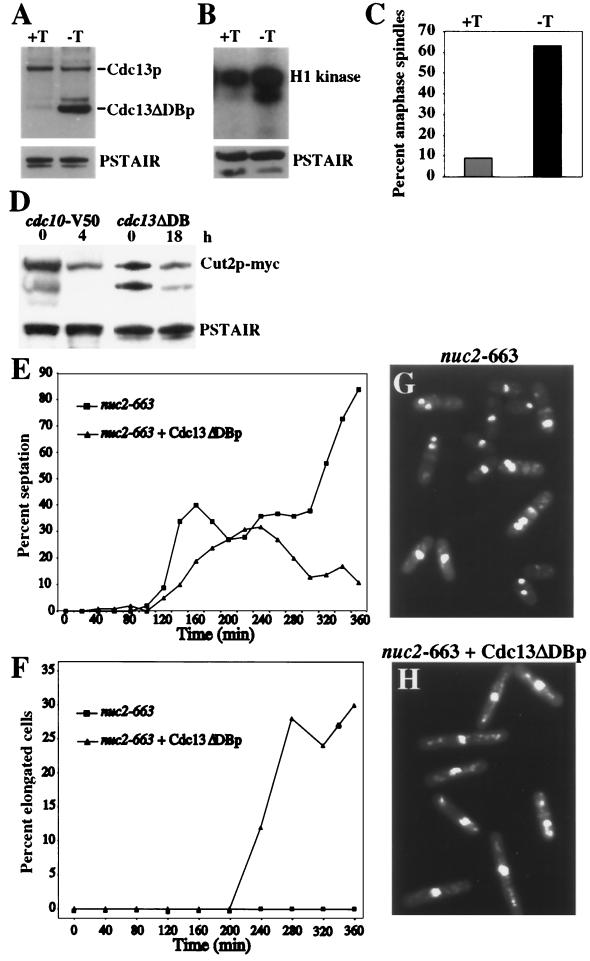 FIG. 8