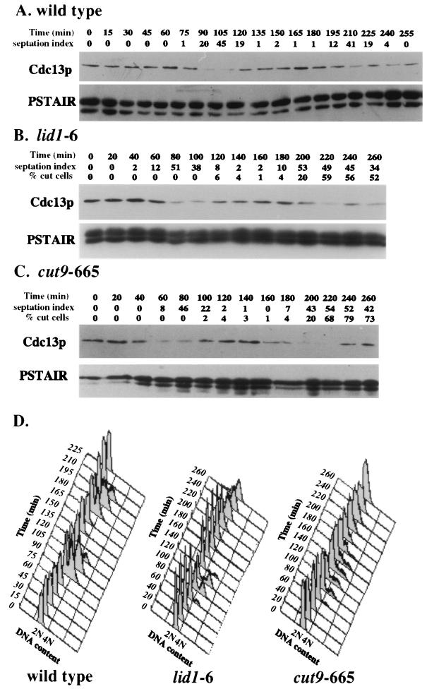 FIG. 5