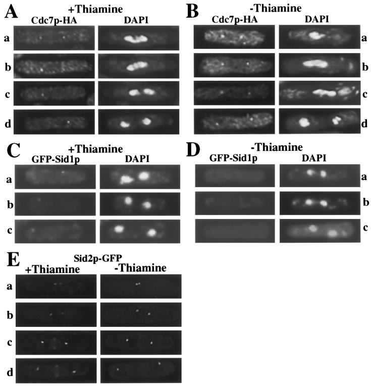 FIG. 9