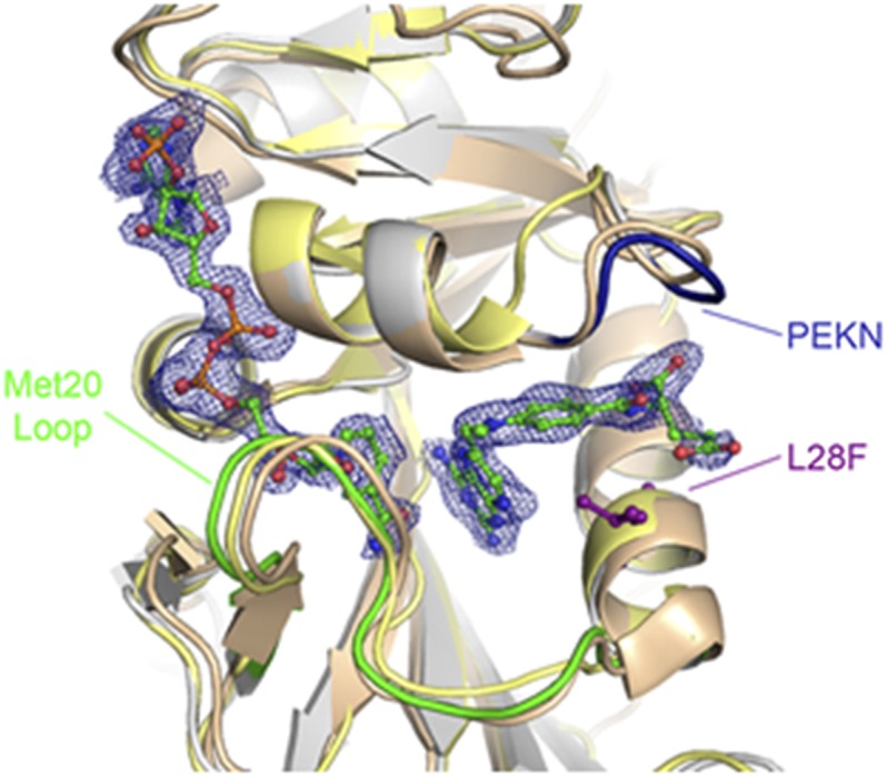 Fig. 2.