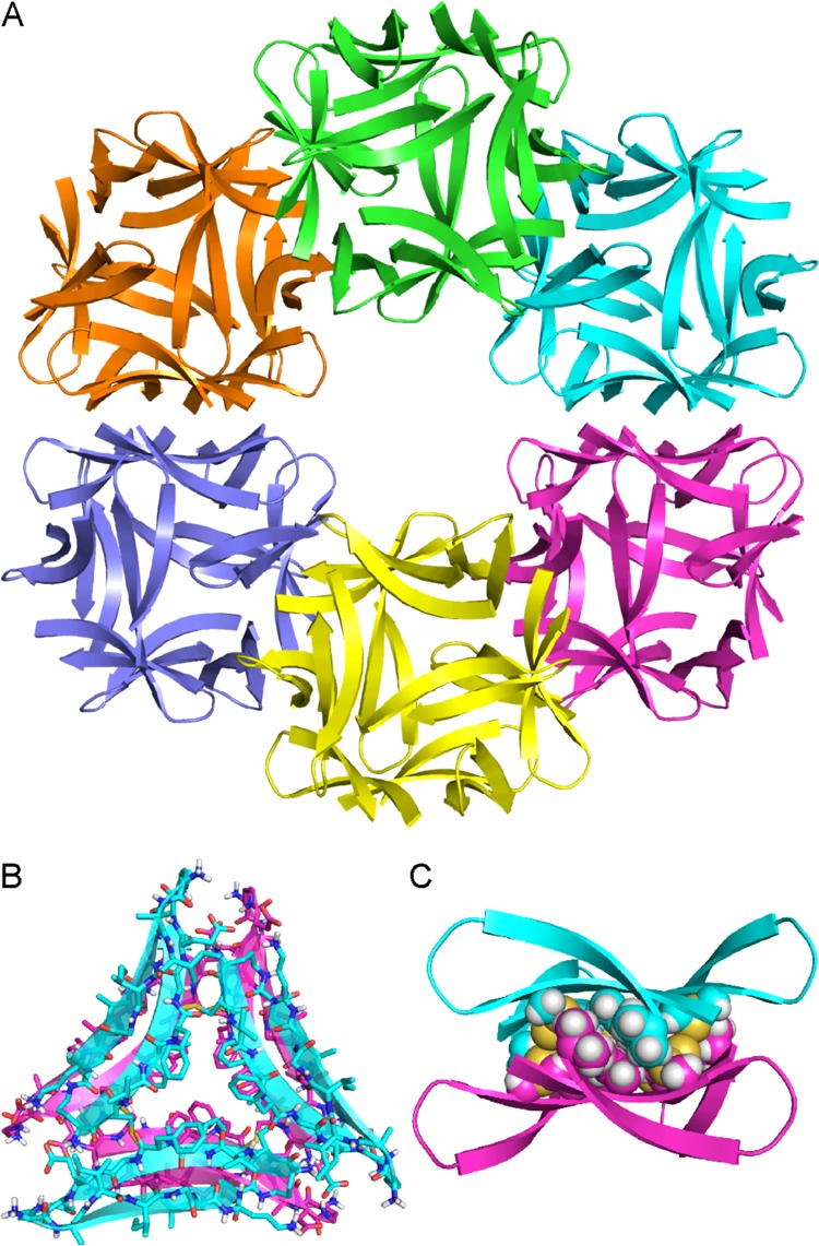 Figure 11