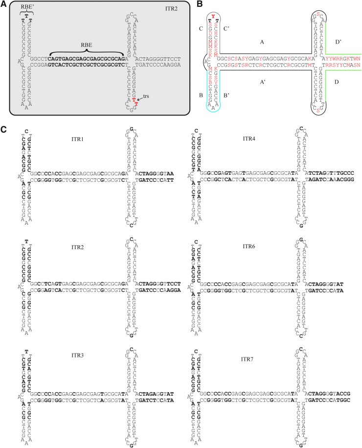 Figure 1.