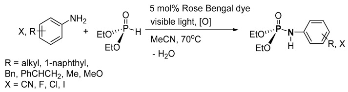 Scheme 8